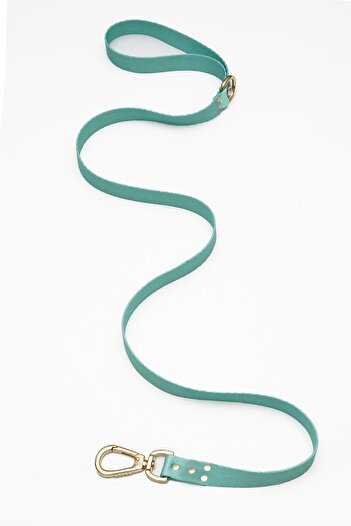 TheTailor Mint Green Stoned Dog Walking Collar