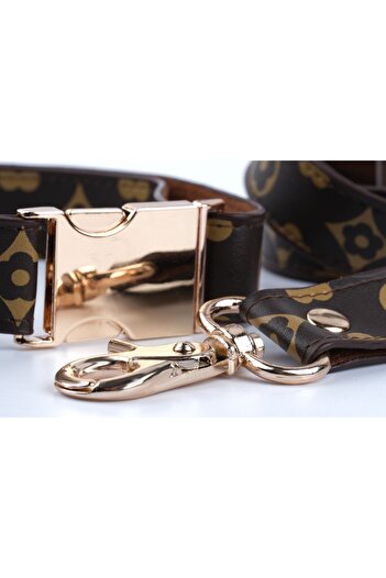 Pawsim Adjustable Brown Dog Collar and Flower Patterned Walking Strap Set