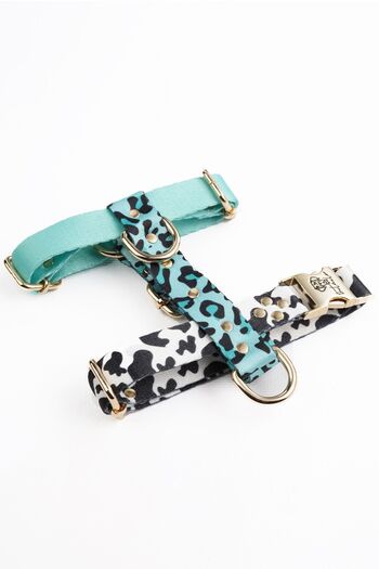 TheTailor Anti-Escape Collar Mix 3-Piece Collar Set Chest Collar - Neck Collar and Travel Collar