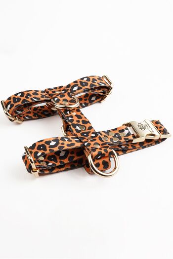 TheTailor Anti-Escape Collar Leo 3-Piece Collar Set Chest Collar - Neck Collar and Travel Collar
