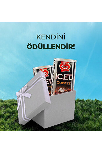 Luna Iced Coffee Mocha 195 GR X 6 adet