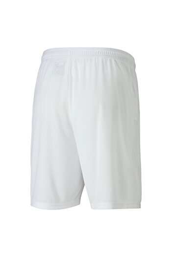 Puma GOAL Football Men's Shorts