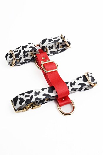 TheTailor The Tailor Leo Mix Chest Collar Size Xs-l