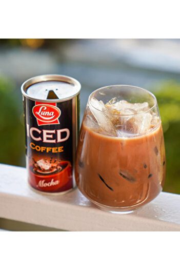 Luna Iced Coffee Mocha 195 GR
