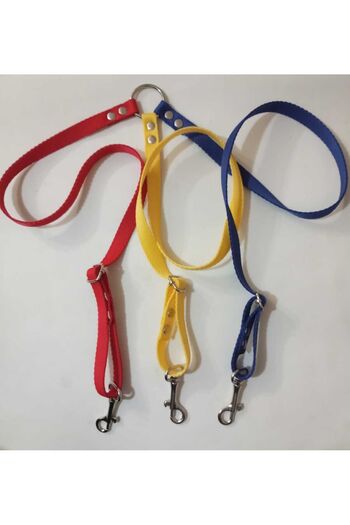 Loyal Friend Store KÖPEK 3LÜ GEZDİRME KAYIŞI SARI KIRMIZI LACİVERT UFAK VE ORTA IRKLAR İÇİN