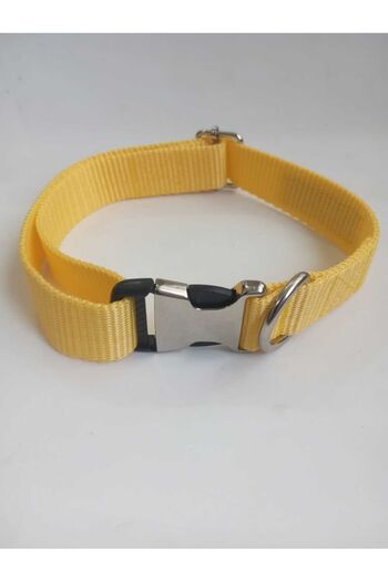 Loyal Friend Store köpek boyun tasma 30-45 cm m beden SARI RENK metal aparatlı