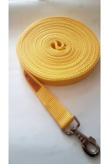 Loyal Friend Store Köpek Gezdirme Kayışı 10 Metre Uzunluğundadır Genişlik 2.5 Cm Renk Sarı
