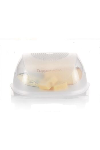Tupperware Middle Cheese World