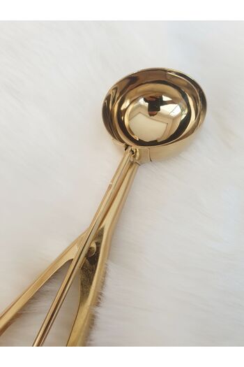 LOVYCO Gold Stainless Steel Cookie Halva Ice Cream Serving Presentation Spoon 22 Cm
