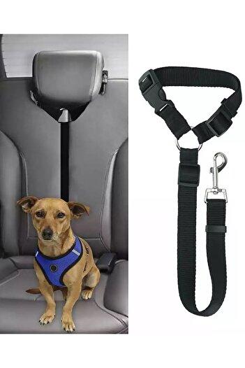 Ankaflex Cat and Dog Car Seat Belt Leash Inside Puppy Pet Collars Car Leash Accessory