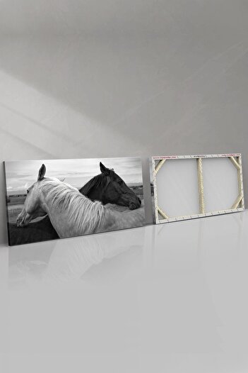Evinemoda Siyah Beyaz At Kanvas-canvas Tablo