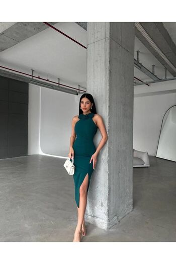 Kir Rochie Midi Rahçi drapată - Detaliată Floral