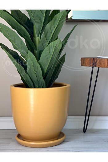 odka 10litre Saksı Tabaklı Çap: 25cmx Yükseklik: 23cm Sarı