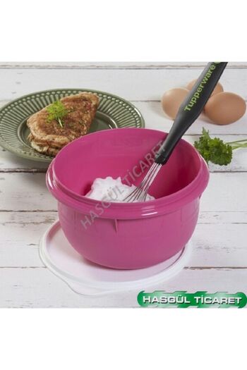 Tupperware Tel Çırpıcı Yeşil Modern Peri Çırpıcı Hsgl