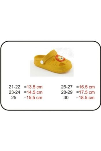 Armis Ortopedik Kaydırmaz Tabanlı Hayvan Figürlü Çocuk Sandalet Terlik Bkpk01001