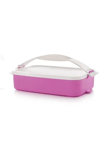Tupperware Travel Container 900 Ml Storage Carrier