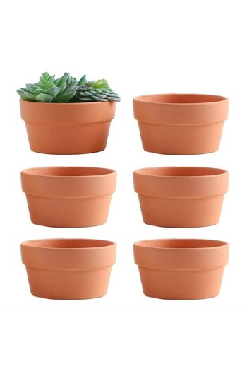 Choice S 6 Pcs Terracotta Buld Pots 3.5"x2.2" Flower Pots Clay Pottery Planter With Drainage Hole Cactus S.