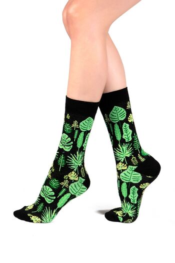 Ozzy Pack of 6 Organic Cotton Seamless Women's Multicolored Patterned Socks 11