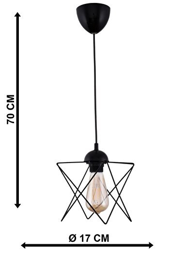 AYDINHOMELİGHT 2 Single Black Pendant Chandelier