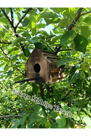 AnkaraMobTasarım Bird House - Wooden Pancure Design