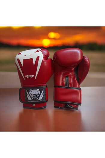 Venum Gloves