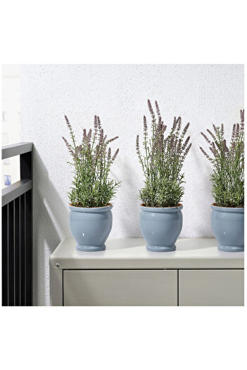 IKEA TRUMPETBUSKE seramik saksı 12cm