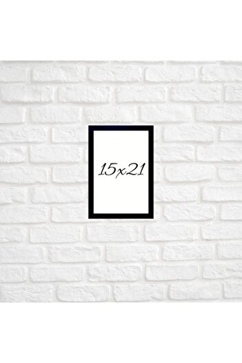 CAM 15 X 21 Wall Hanging Black Frame