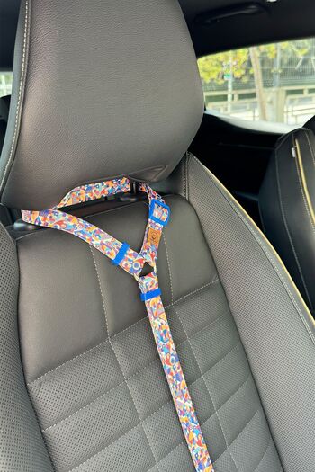 JesPawty Colorful Patterned Standard Hooked Cat Dog Car Travel Collar