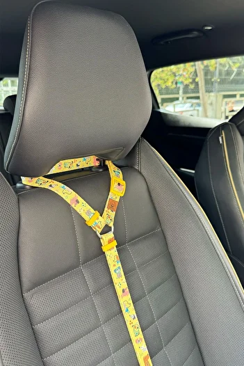 JesPawty Yellow Dog Standard Hooked Cat Car Travel Collar