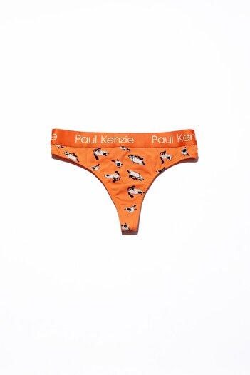 Paul Kenzie Saving House Patterned Siamese Women's String Panties