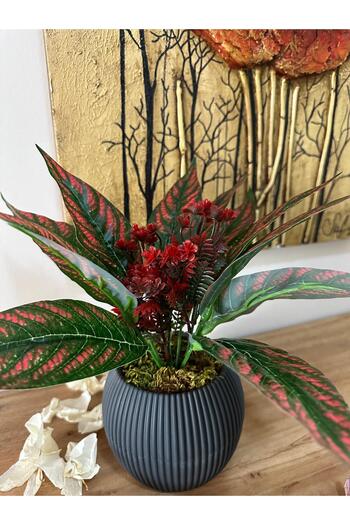 La bella bazar Potted Artificial Flower Decorative Table Balcony Flower Natural Stone Moss Table Top Decoration
