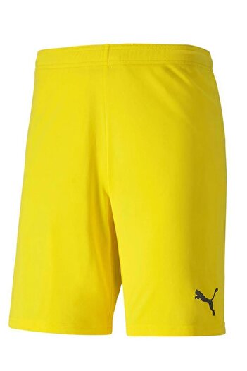 Puma Ανδρικό σορτς προπόνησης Team Goal 70426207