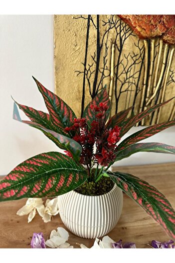 La bella bazar Potted Artificial Flower Decorative Table Balcony Flower Natural Stone Moss Table Top Decoration