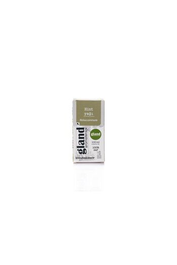 Gland Hint Yağı (CASTOR OİL) 100 ml - Ricinus Communis - Hekzansız %100 Saf Soğuk Sıkım