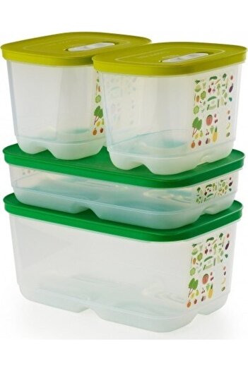 Tupperware Greenhouse Set of 4 ( Maxi Storage Container ) Hasgül