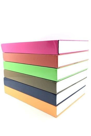 Gıpta The Book Pastel 20x28 400 Yaprak 4 Bölmeli Sert Kapak Ciltli Defter (3486) Kareli Mavi