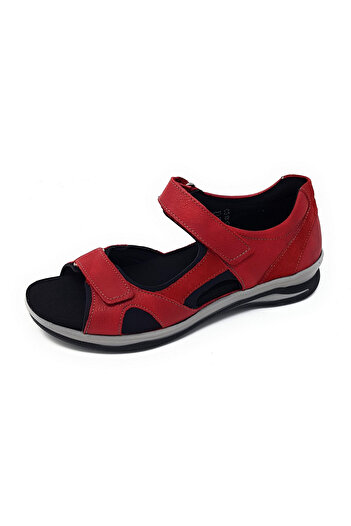 Fidelio rot