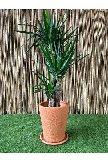 odka Terracotta Çömlek Saksı Tabaklı Uzun Konik Desenli Orta Boy 20 Litre H:31cm Xçap:31cm