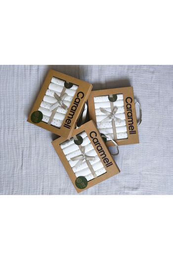 Caramell Wipes for Baby Mouth