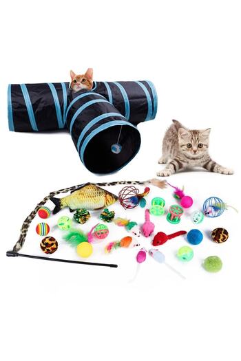 Mixpet 27 Piece Model 5 Cat Toy Set