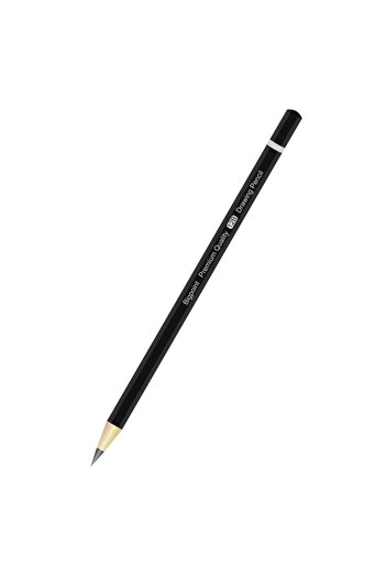 Bigpoint 12B Premium Graduated Pen - 1 Piece