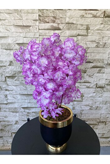 MY LOVE ÇİÇEKÇİLİK Siyah Gold Detaylı Metal Vazoda Mor Bahar Dalı Ağacı
