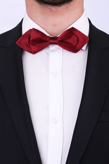 La Pescara Burgundy Triangle Satin Bow Tie SP32