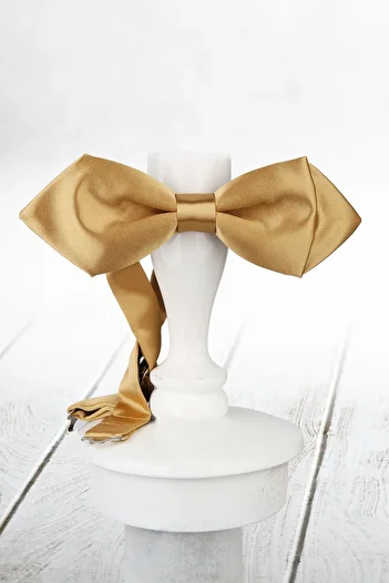 La Pescara Gold Triangle Satin Bow Tie SP35