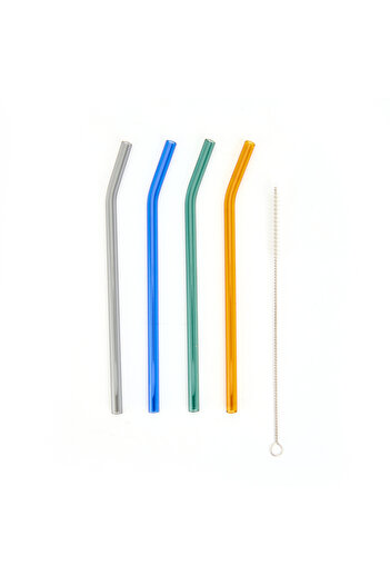 Kayra 20 cm Colorful Set of 4 Glass Straws