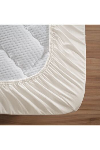 Altın Yaprak King Size Elastic 100% Cotton Combed Sheet 2 Pieces Pillow Case (50X70 CM)
