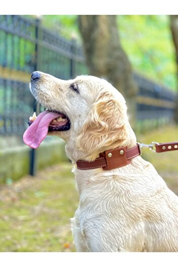TB Leather Airtag Collar - Real Leather Collar and Airtag Case