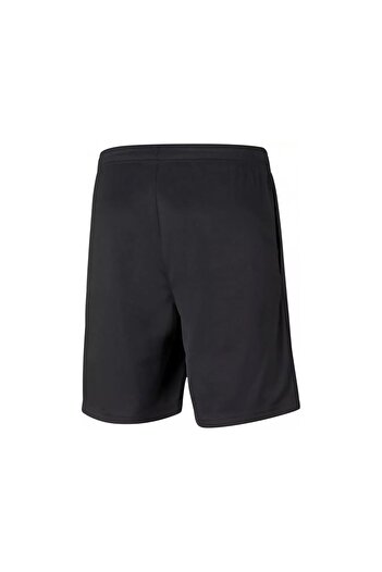 Puma Men's Running Quick Dry Micropoly Training Field Fitness Short Tights Outdoor Shorts