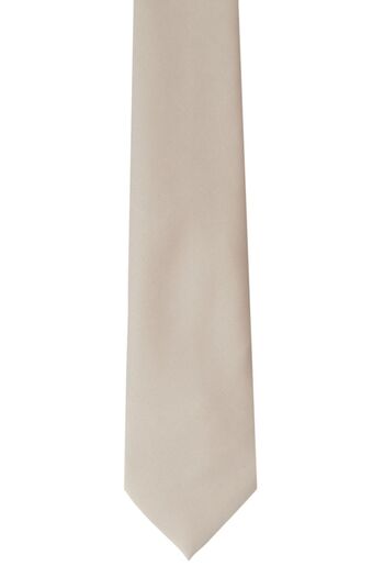 ALTINYILDIZ CLASSICS Men's Gray Patternless Gray Tie