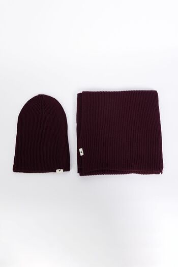AC&Co / Altınyıldız Classics Men's Claret Red Windproof Warm Knitwear Scarf-Beanie Set